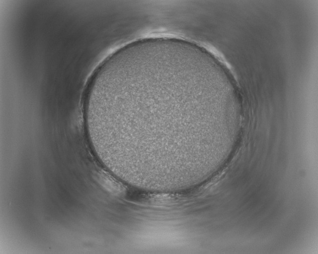 X0000074291167200609222301