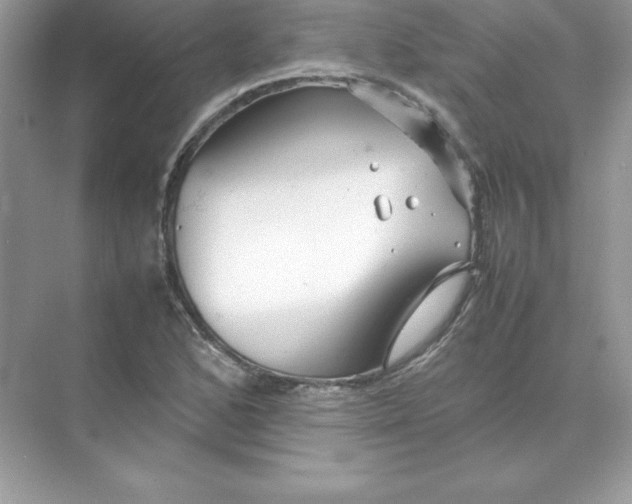 X0000074291168200609222301