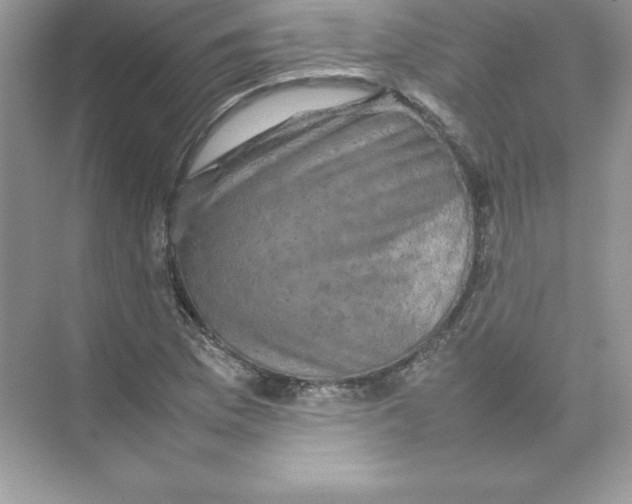 X0000074291169200609222301