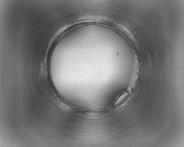 X0000074291172200609222301