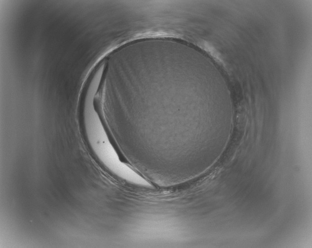 X0000074291173200609222301