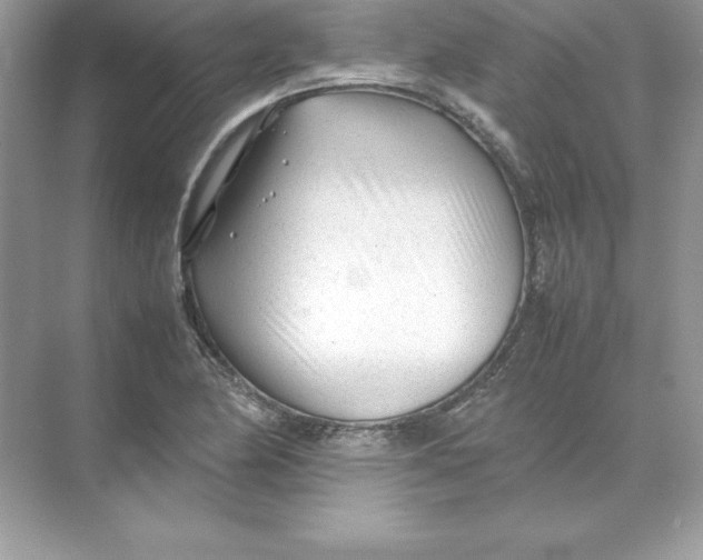 X0000074291174200609222301