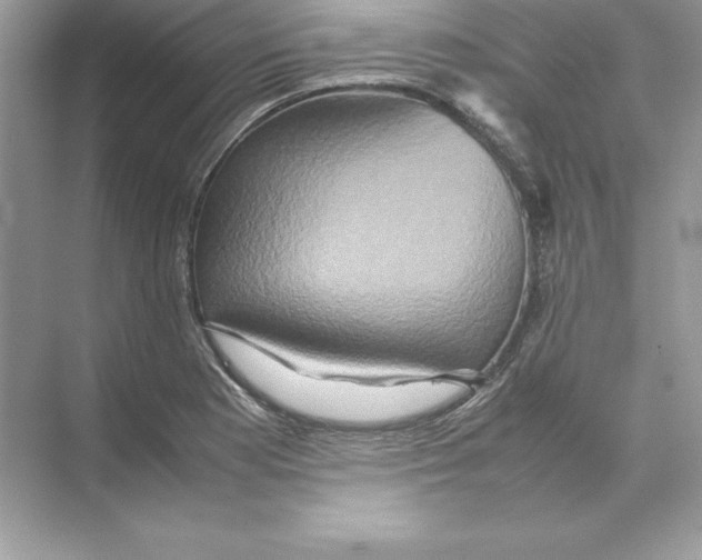 X0000074291177200609222301