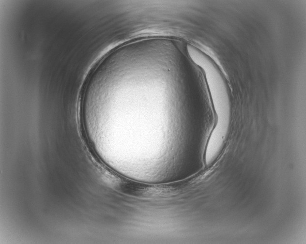 X0000074291179200609222301