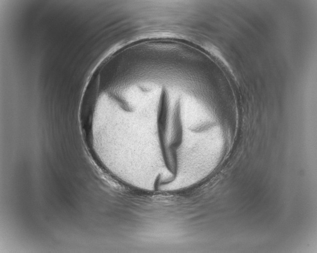 X0000074291181200609222301