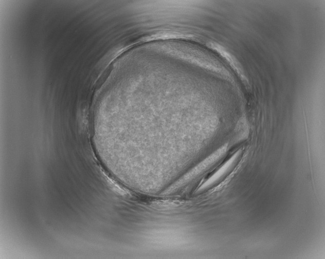 X0000074291185200609222301