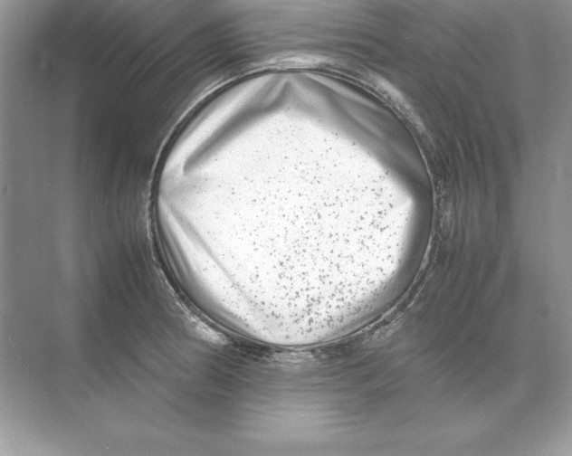 X0000074291186200609222301