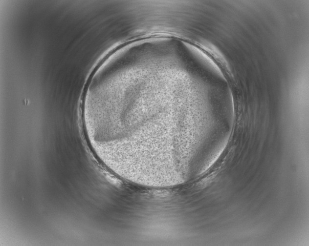 X0000074291190200609222301