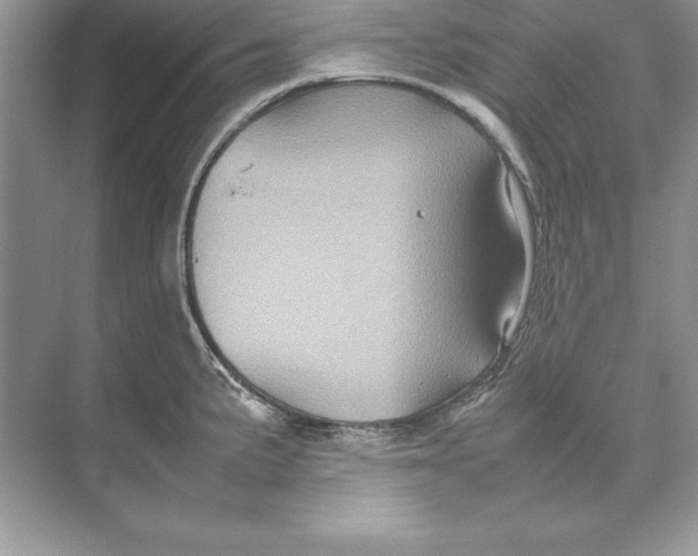 X0000074291191200609222301