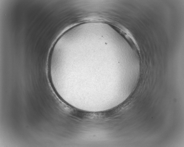 X0000074291195200609222301