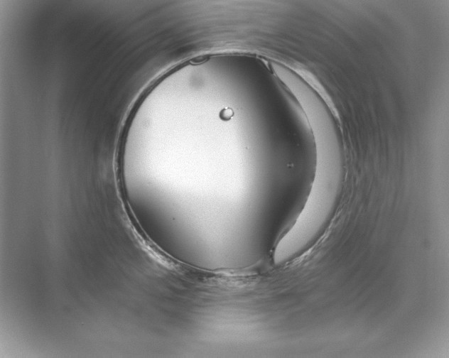 X0000074291197200609222301