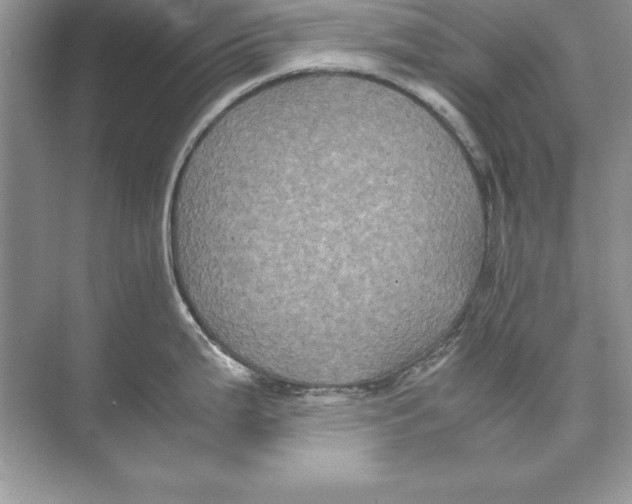 X0000074291199200609222301