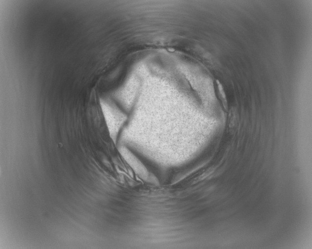 X0000074291202200609222300