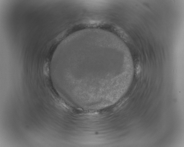 X0000074291204200609222300