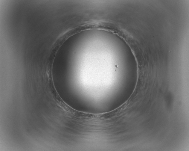 X0000074291206200609222300