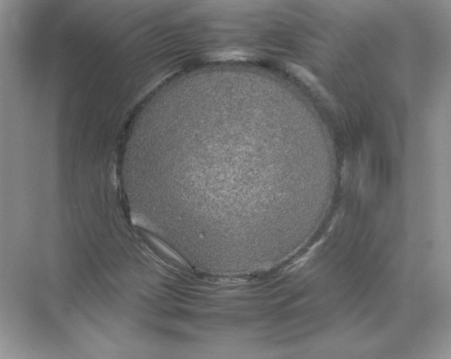 X0000074291209200609222300