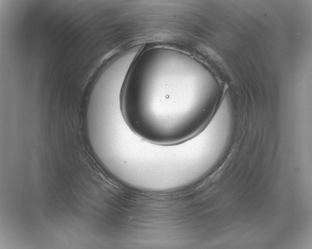 X0000074291210200609222300