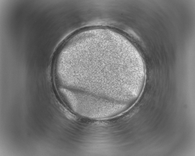 X0000074291216200609222300