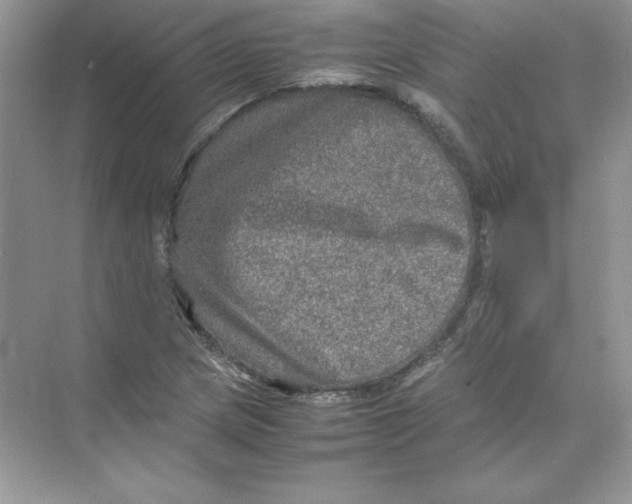 X0000074291217200609222300