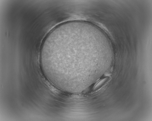 X0000074291220200609222300