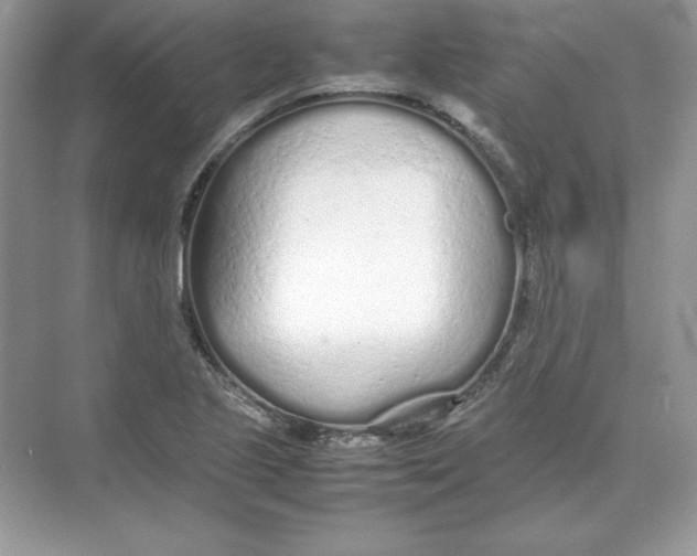 X0000074291221200609222300