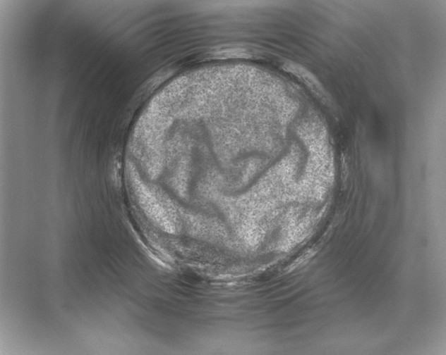 X0000074291225200609222300