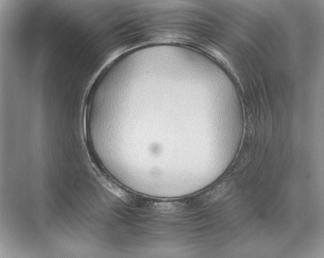 X0000074291227200609222300