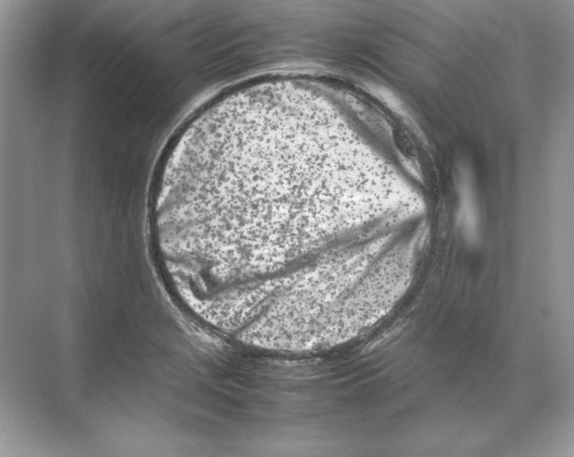 X0000074291229200609222300