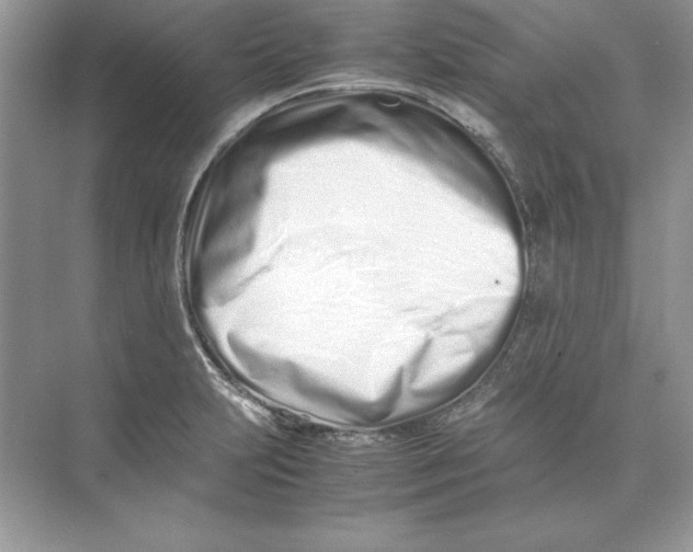 X0000074291231200609222300