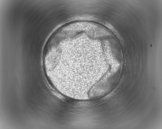 X0000074291232200609222300