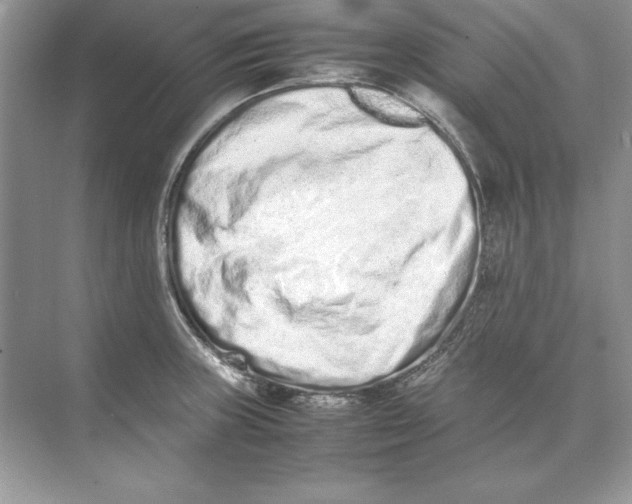 X0000074291235200609222301