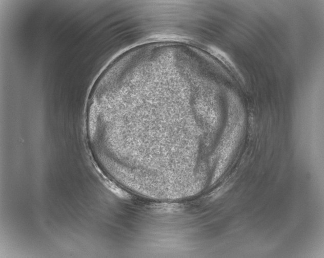 X0000074291236200609222301