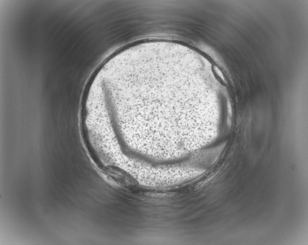 X0000074291237200609222301