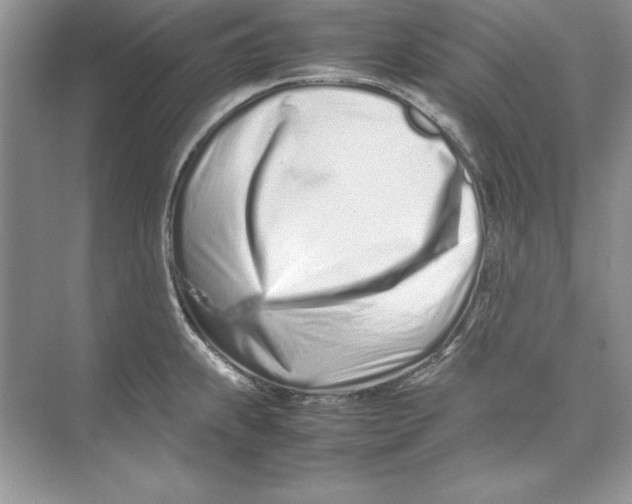 X0000074291239200609222301