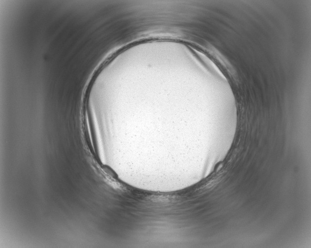 X0000074291240200609222301