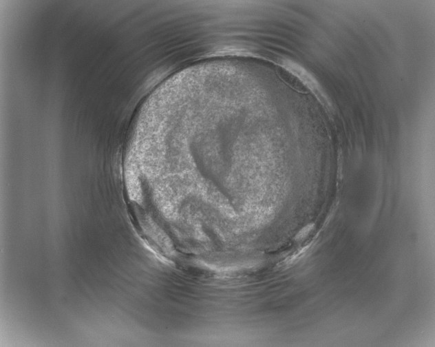 X0000074291241200609222301