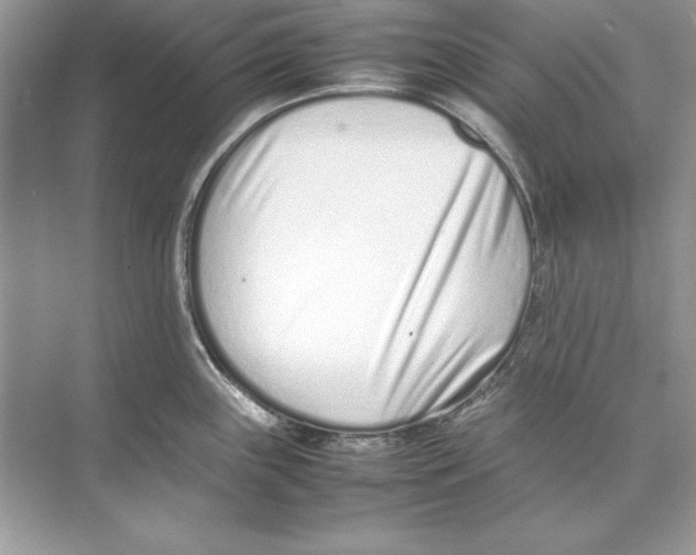 X0000074291243200609222301