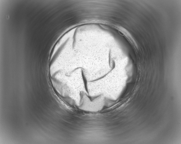 X0000074291244200609222301