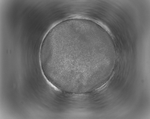 X0000074291247200609222301