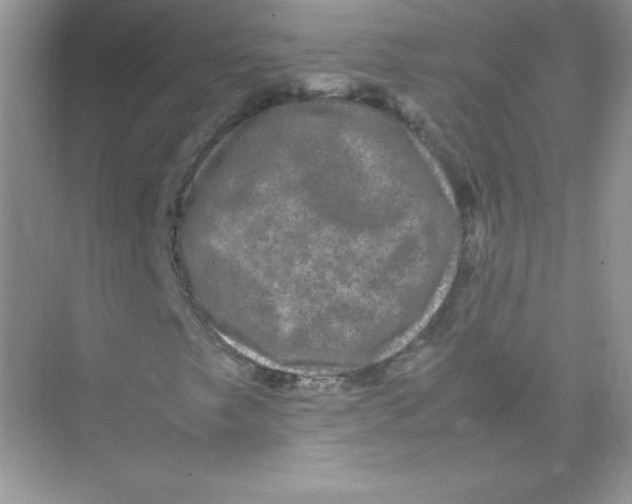 X0000074291249200609222300