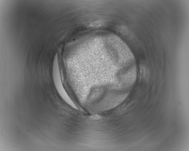 X0000074291250200609222300