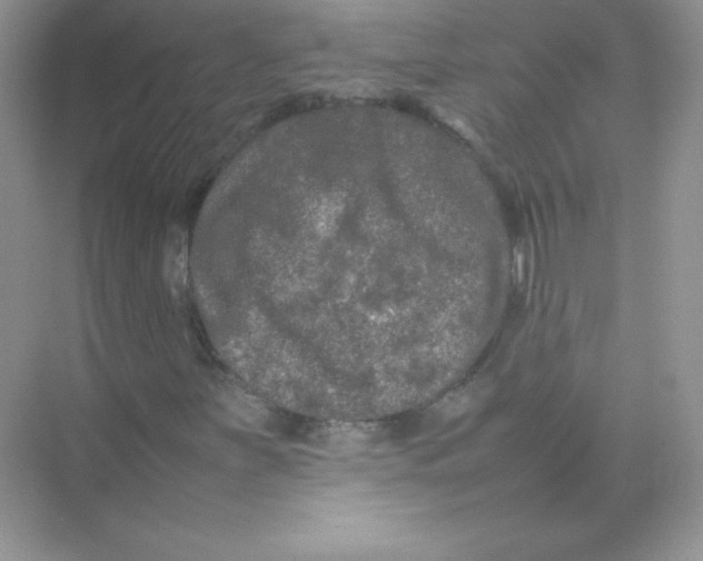 X0000074291251200609222300