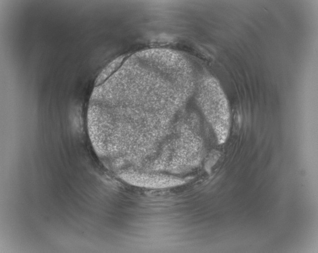 X0000074291252200609222300