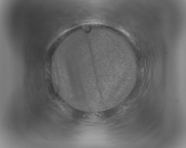 X0000074291255200609222300