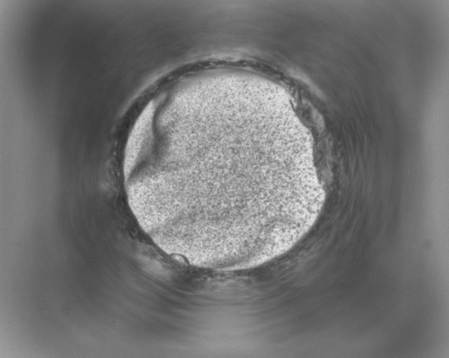 X0000074291256200609222300