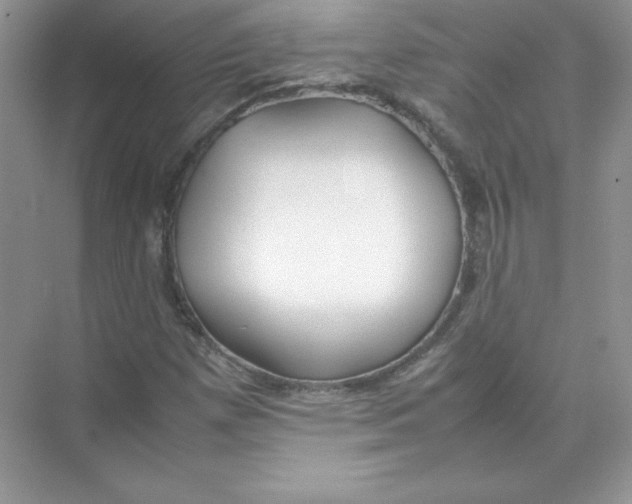 X0000074291257200609222300