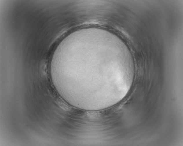 X0000074291258200609222300