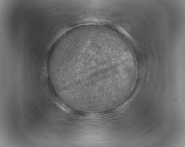 X0000074291259200609222300