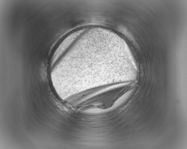 X0000074291260200609222300