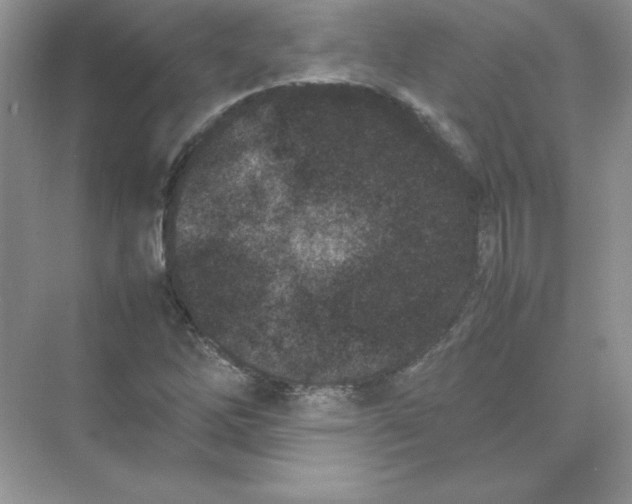 X0000074291262200609222300